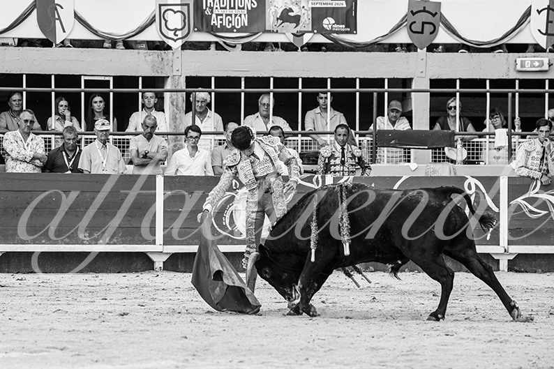 20260821 st gilles fd 009