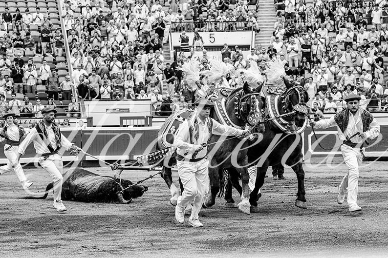 20260825 bilbao fd 032