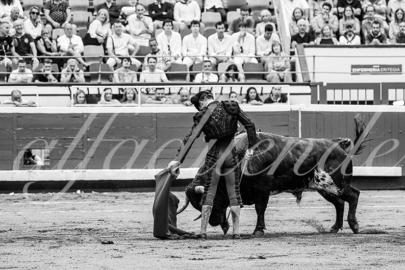 20260825 bilbao fd 028