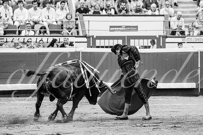 20260825 bilbao fd 026