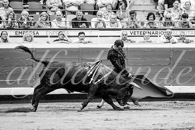 20260825 bilbao fd 016