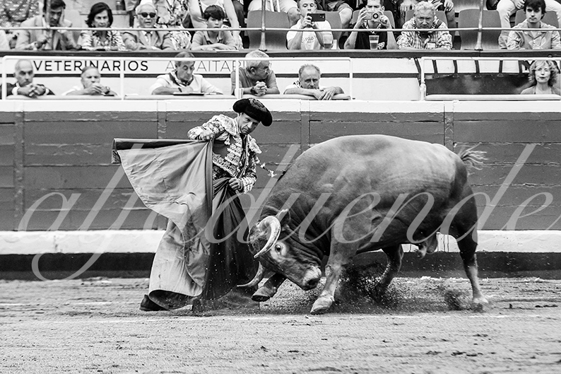 20260825 bilbao fd 013