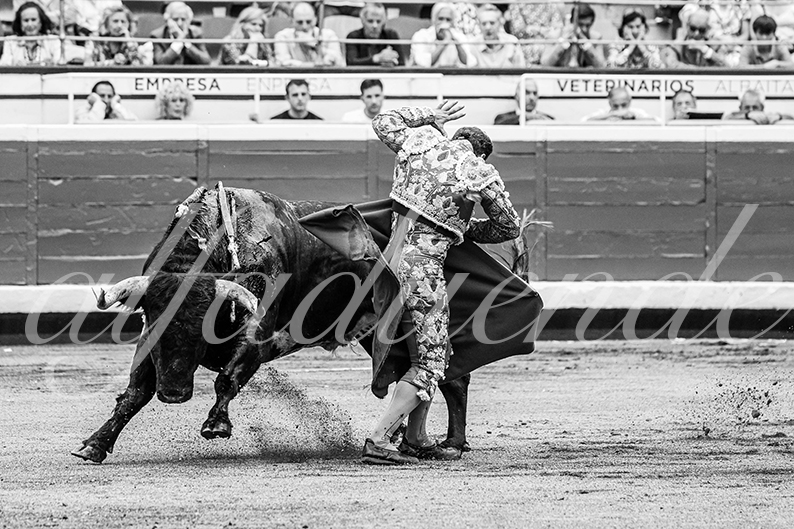 20260825 bilbao fd 008