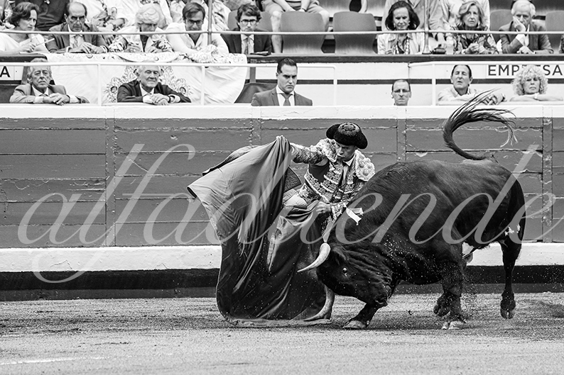 20260825 bilbao fd 007