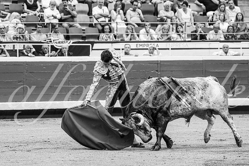 20260826 bilbao fd 023