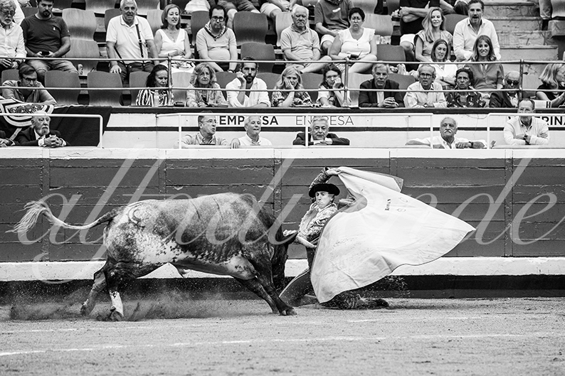 20260826 bilbao fd 018