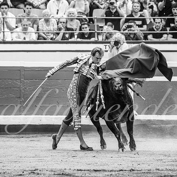 20260826 bilbao fd 016