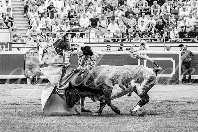 20260826 bilbao fd 005