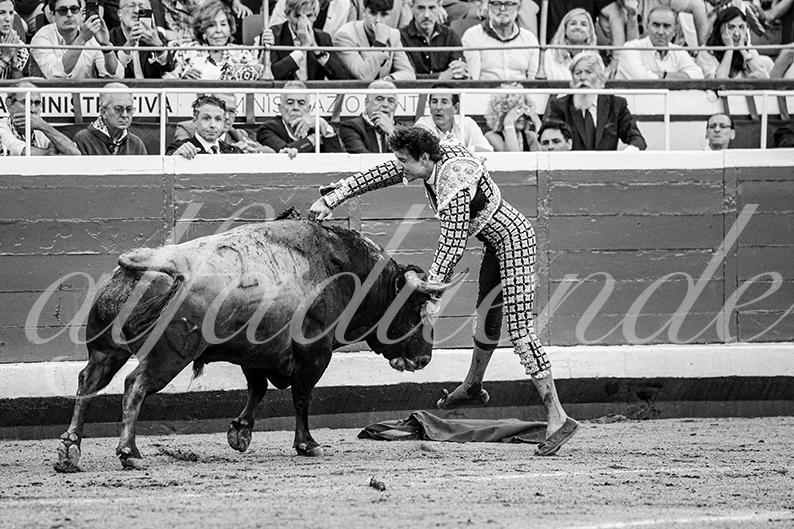 20260827 bilbao fd 040