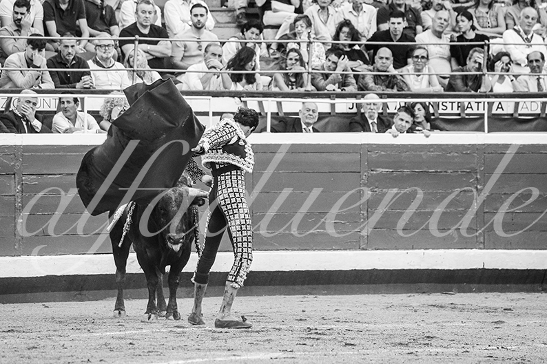 20260827 bilbao fd 037