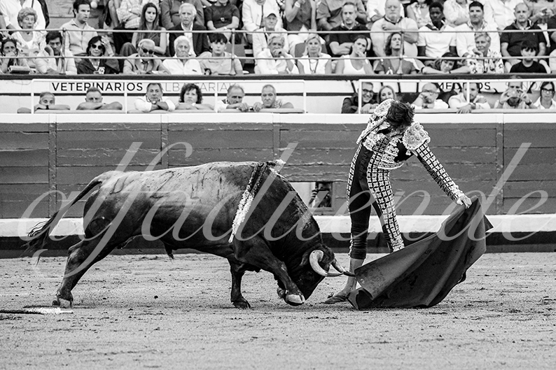 20260827 bilbao fd 036