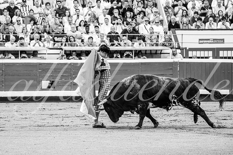 20260827 bilbao fd 029