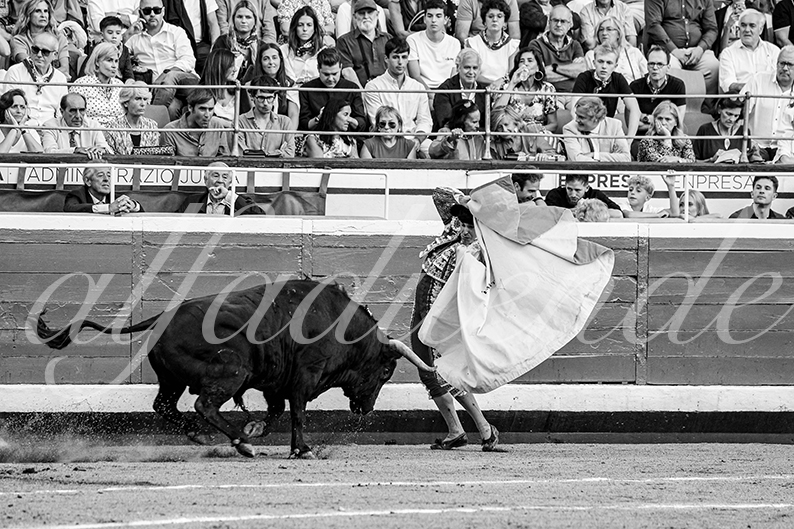 20260827 bilbao fd 028