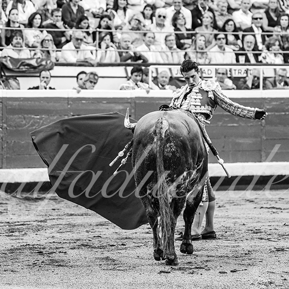 20260827 bilbao fd 026