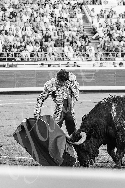 20260827 bilbao fd 021