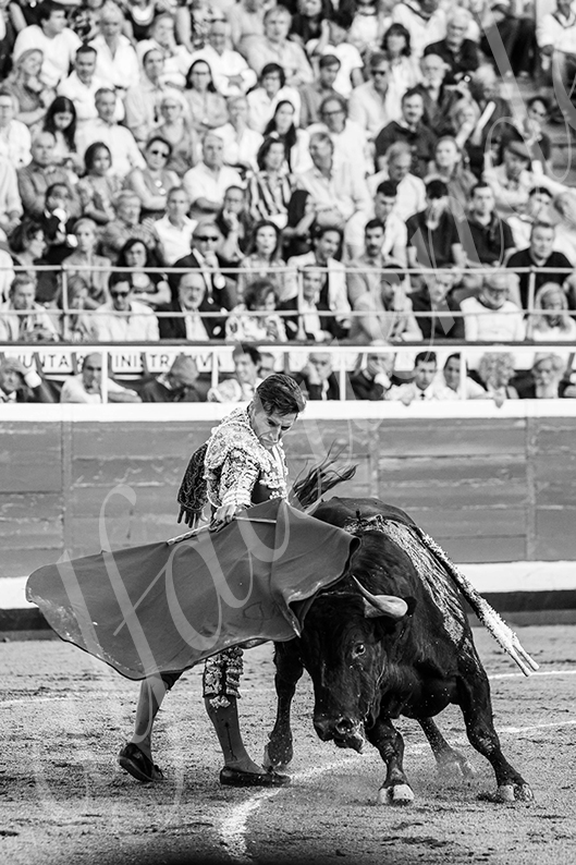 20260827 bilbao fd 020