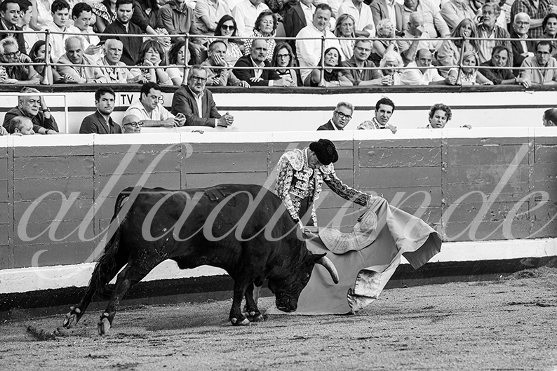 20260827 bilbao fd 019