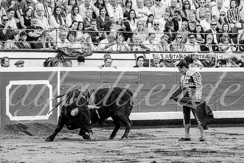 20260827 bilbao fd 018