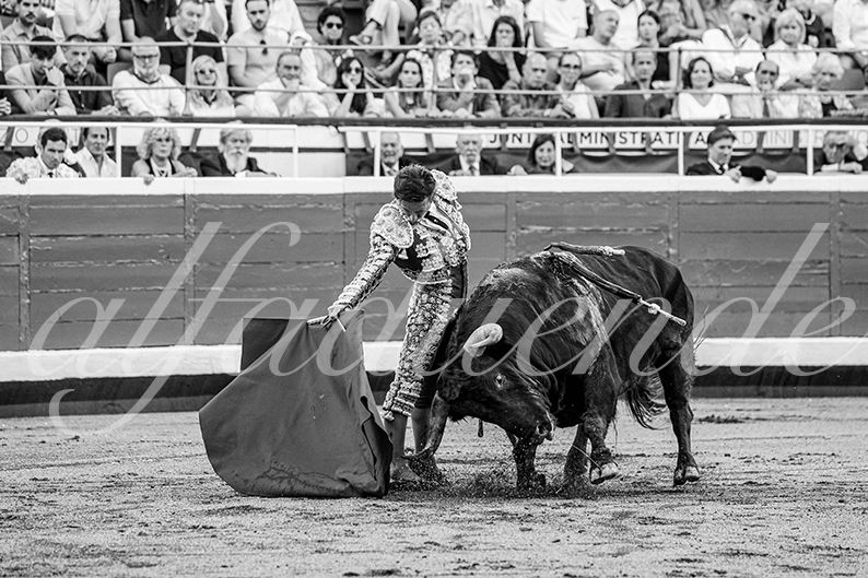 20260827 bilbao fd 017