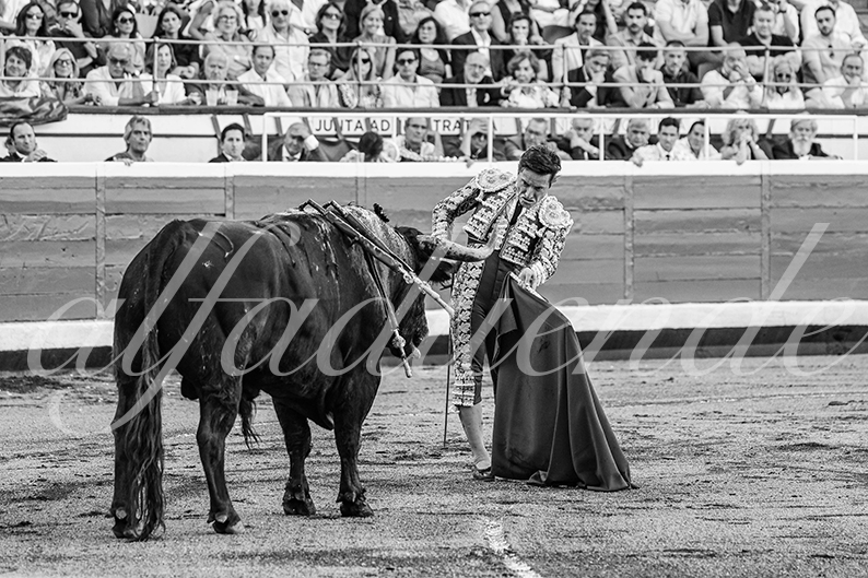 20260827 bilbao fd 015