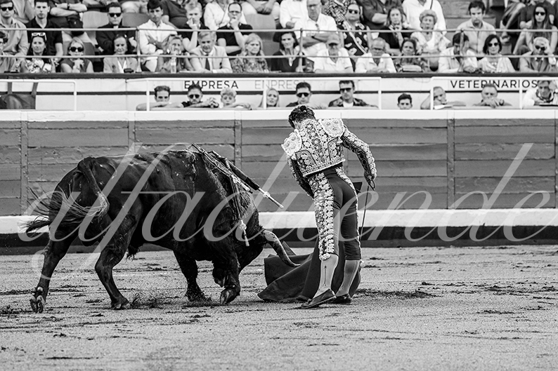 20260827 bilbao fd 014