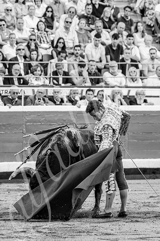 20260827 bilbao fd 013