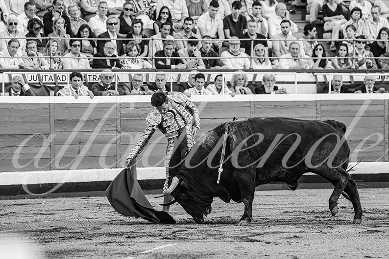 20260827 bilbao fd 012