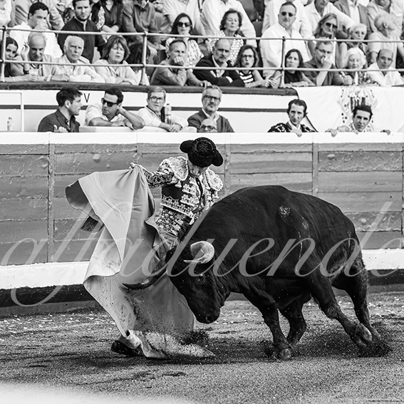 20260827 bilbao fd 011