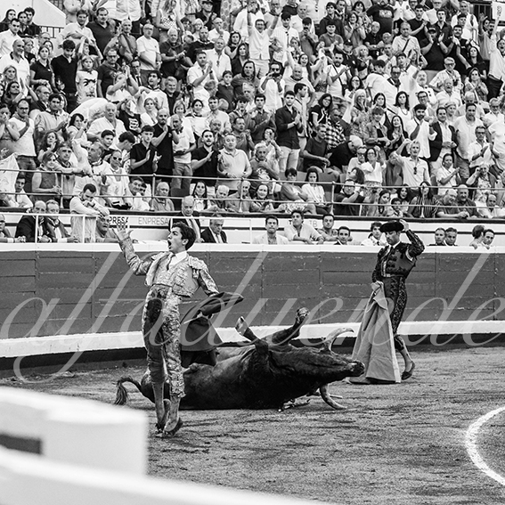 20260828 bilbao fd 023