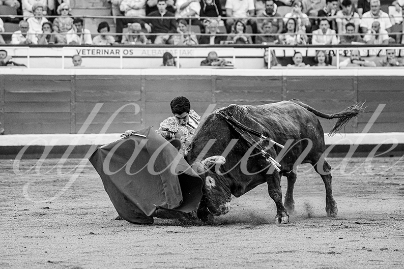 20260828 bilbao fd 022