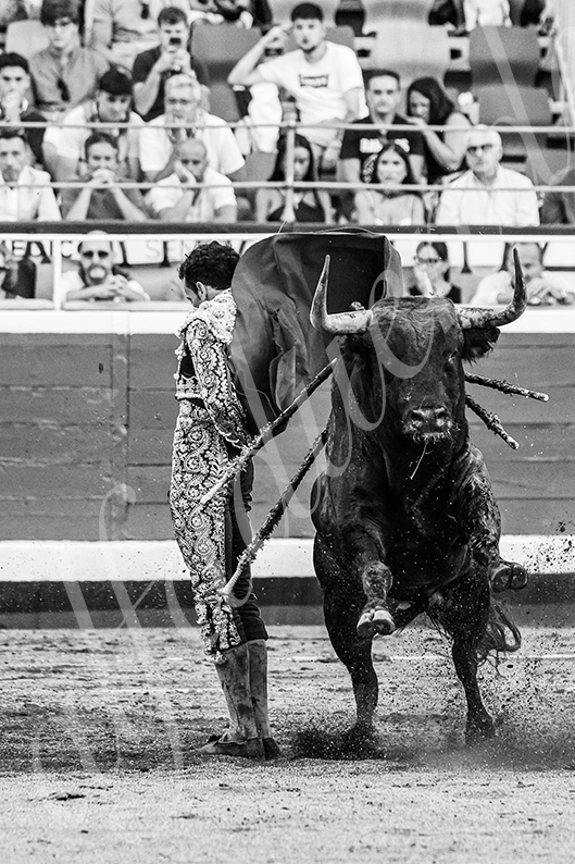 20260828 bilbao fd 019