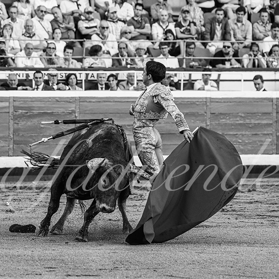 20260828 bilbao fd 016