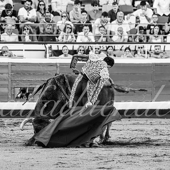 20260828 bilbao fd 012