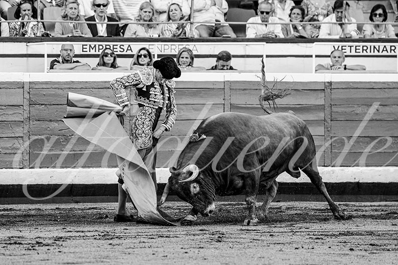20260828 bilbao fd 011