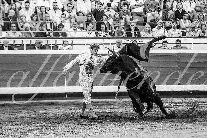 20260829 bilbao fd 023
