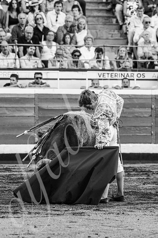 20260829 bilbao fd 020