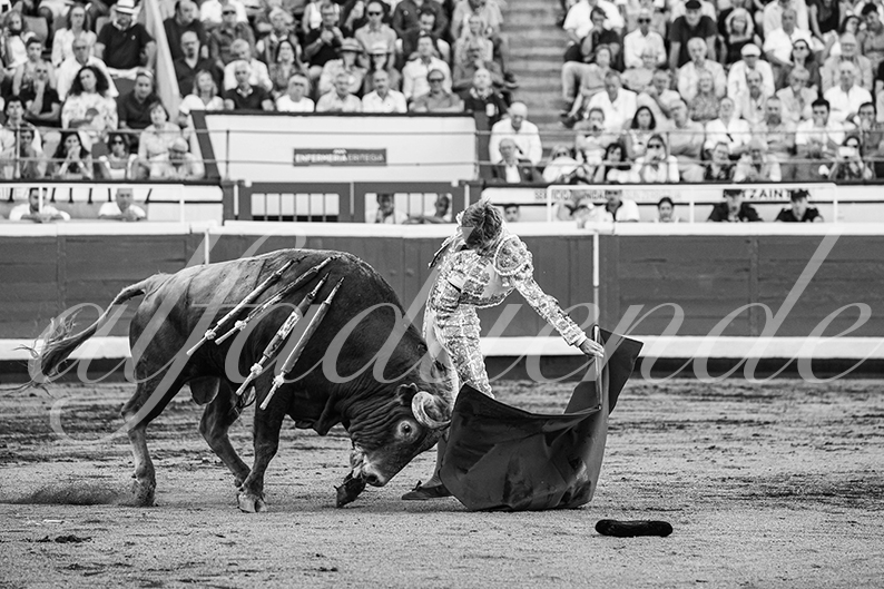 20260829 bilbao fd 019