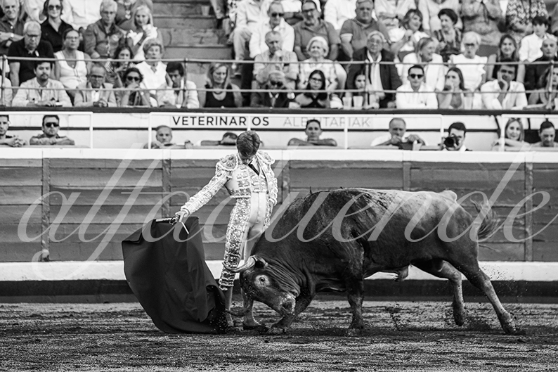 20260829 bilbao fd 017