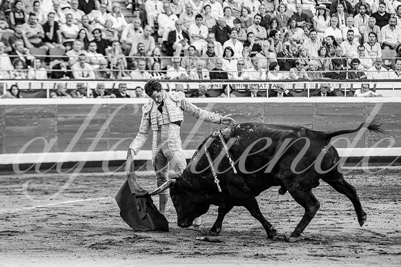 20260829 bilbao fd 014