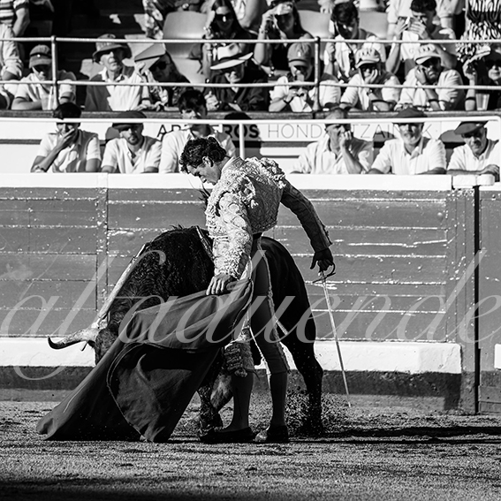 20260829 bilbao fd 011