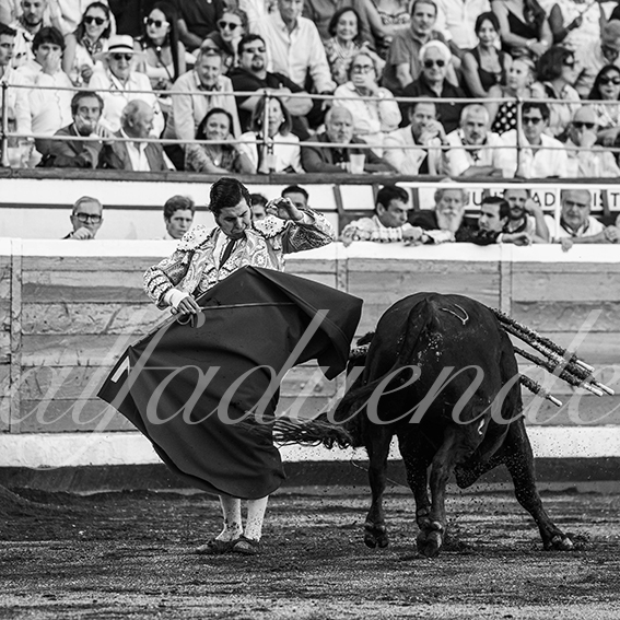 20260829 bilbao fd 006