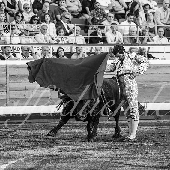 20260829 bilbao fd 005