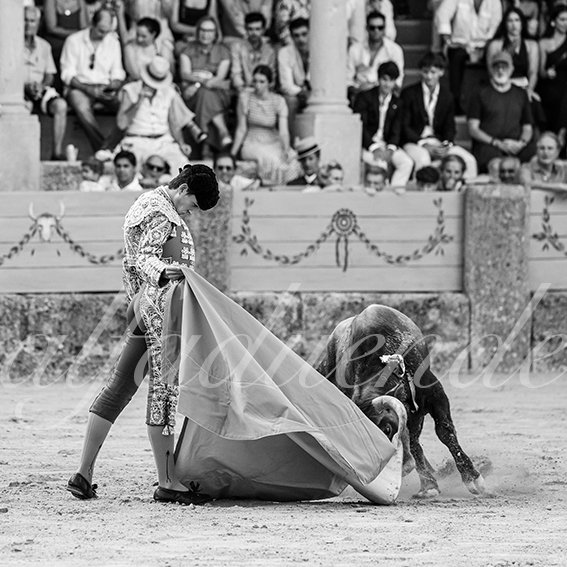 20260904 ronda nsp fd 022