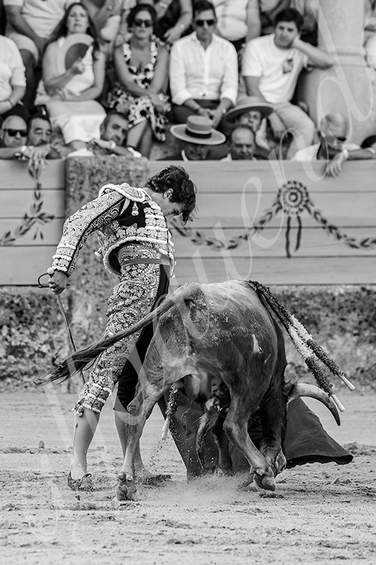 20260904 ronda nsp fd 016