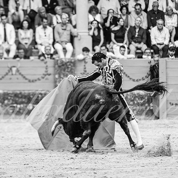20260905 ronda fd 041