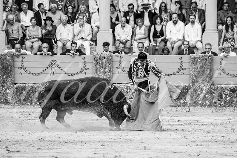 20260905 ronda fd 031
