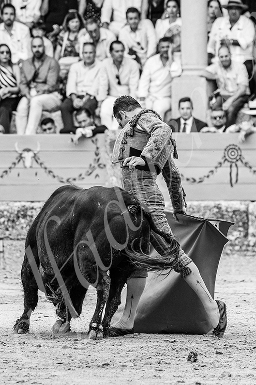 20260905 ronda fd 022