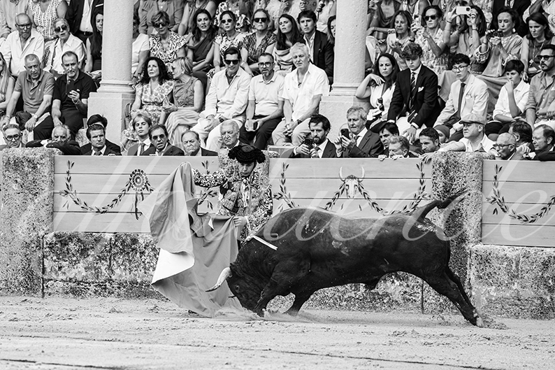 20260905 ronda fd 011