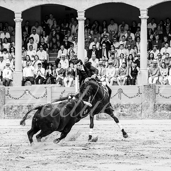 20260905 ronda fd 009