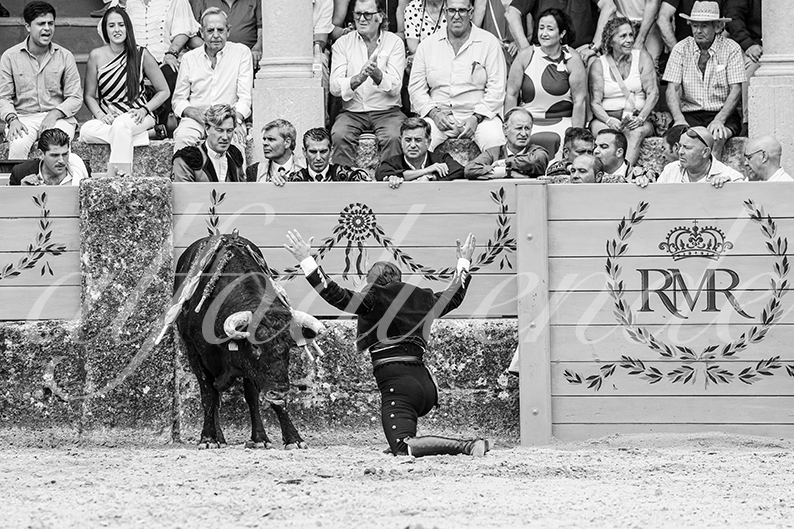 20260905 ronda rejon fd 028